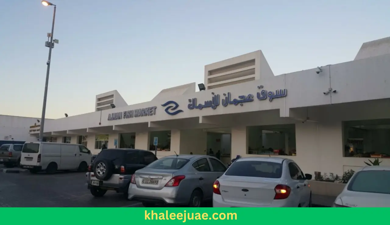 The temporal and spatial coordinates of Ajman's Fish Marketplace